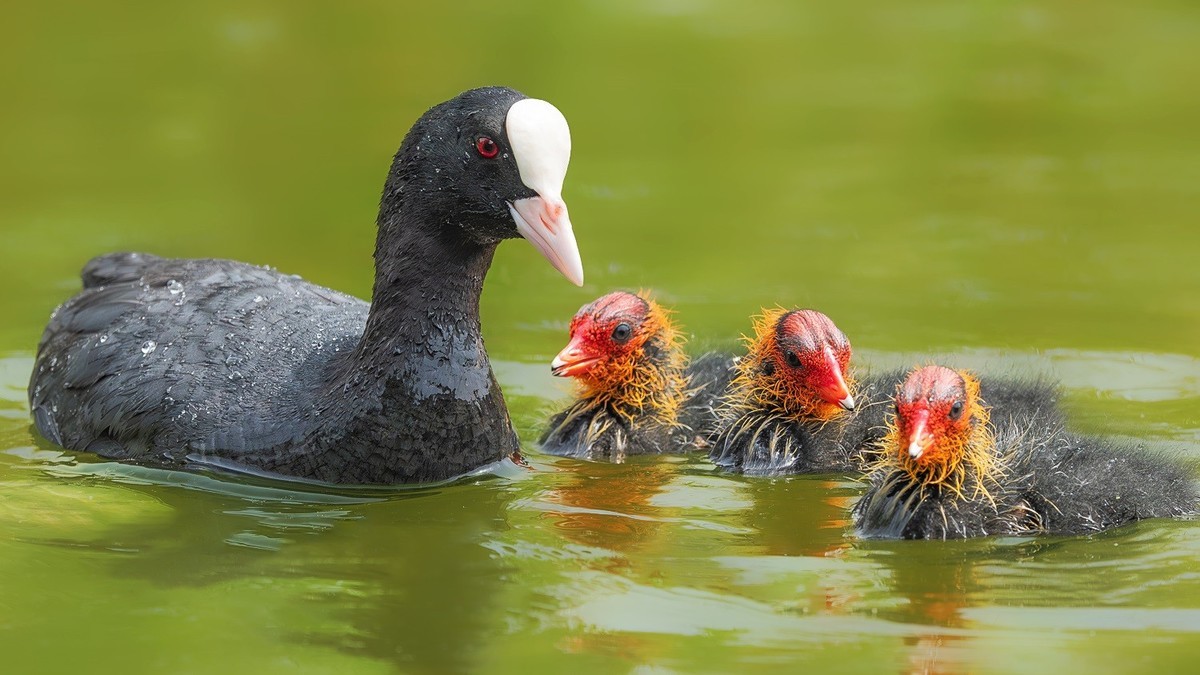 国庆将至，祝福老师们身体健康、天天开心、事事顺意！国庆快乐！