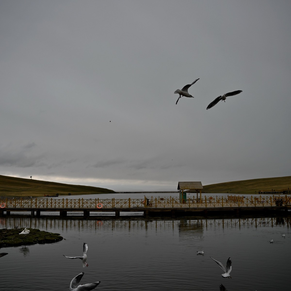 新疆游/巴音布鲁克(30)