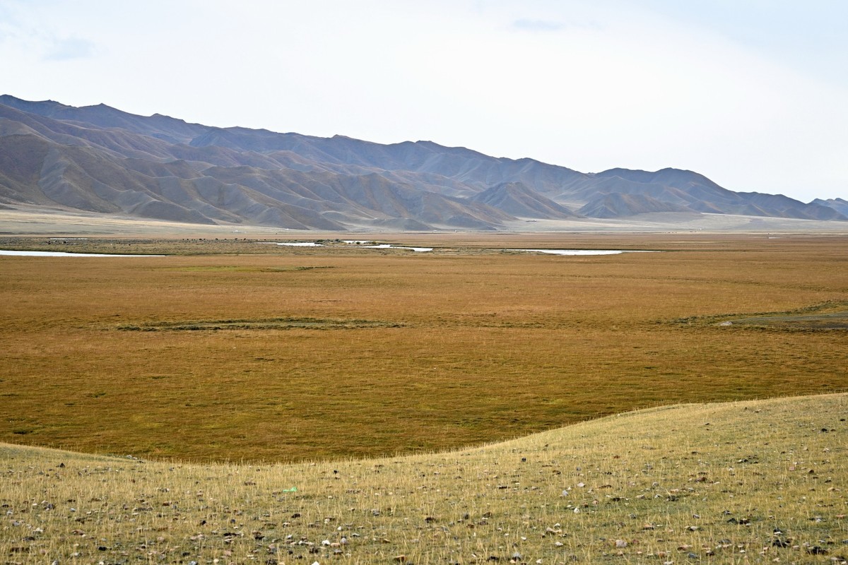 新疆游/巴音布鲁克(30)