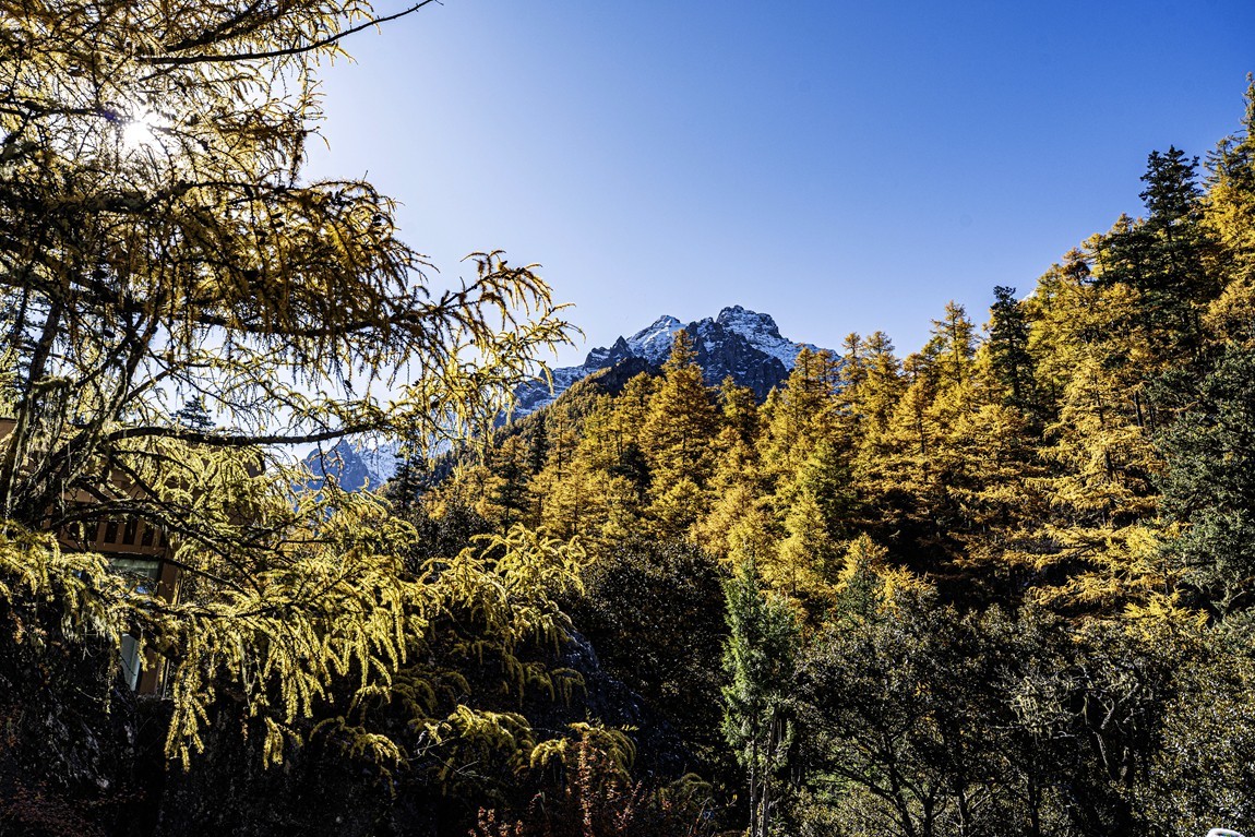 稻城亚丁--秋日行【2】