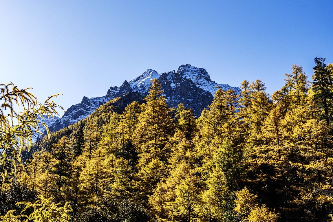 稻城亚丁--秋日行【2】