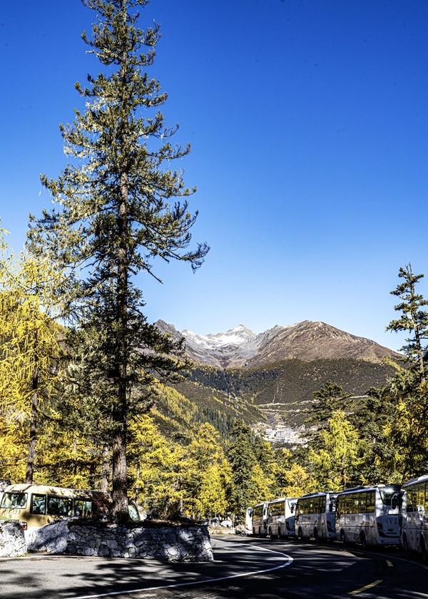 稻城亚丁--秋日行【2】