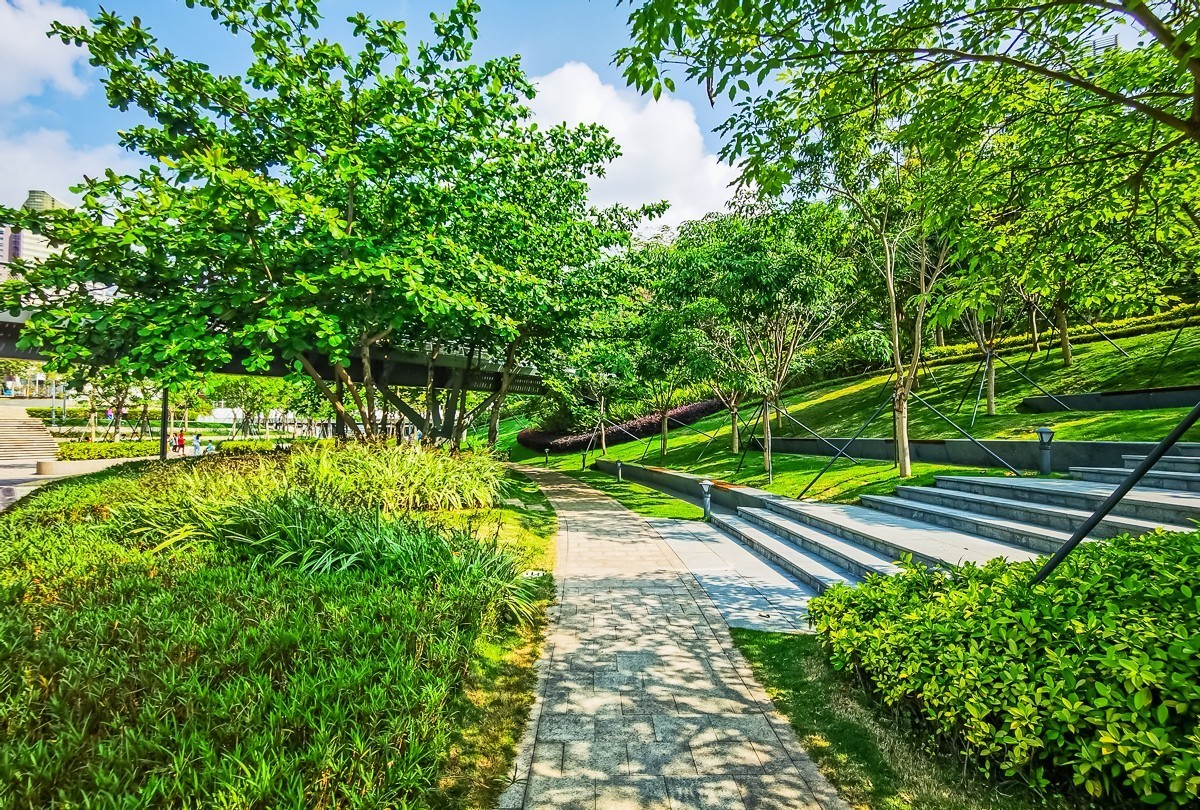 深圳海上世界掠影