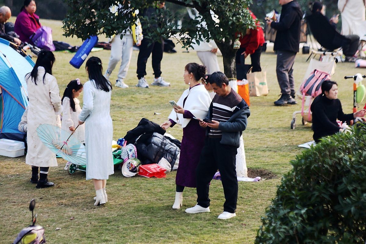 新年伊始扫草坪（五）