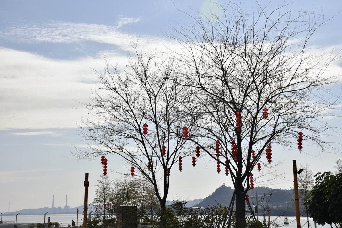 2025春节 广东行（17）老汕头西堤路
