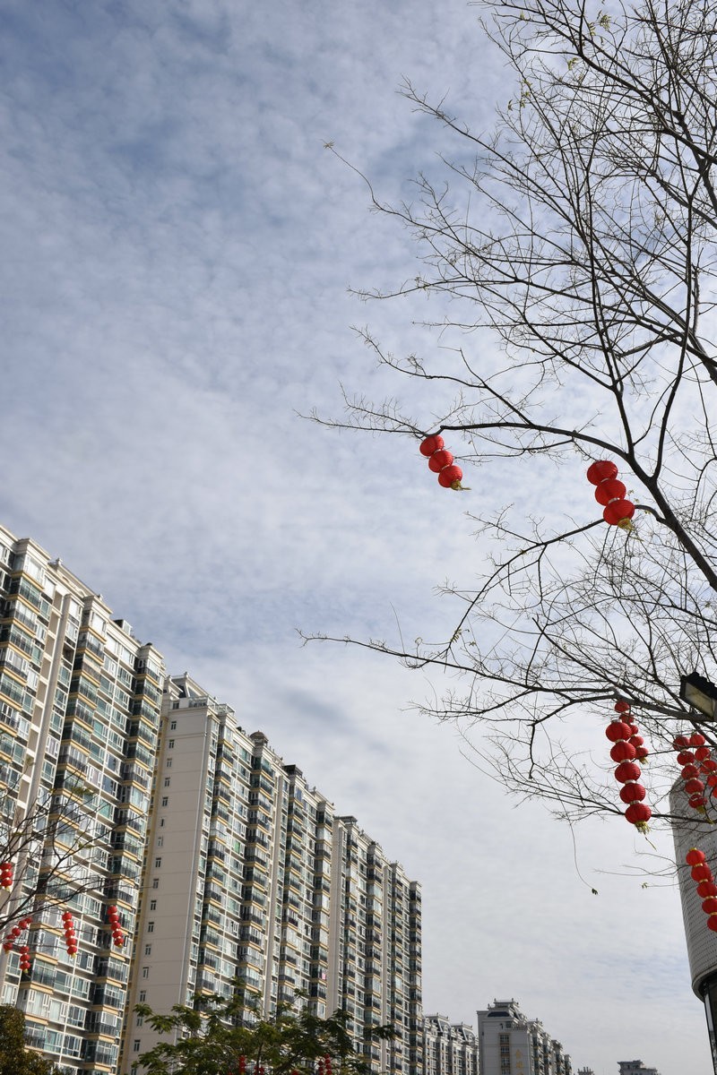 2025春节 广东行（17）老汕头西堤路