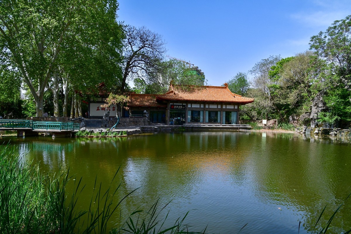 洛阳牡丹果然甲天下（二）