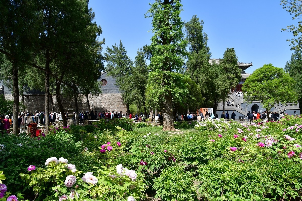 洛阳白马寺所见（下）