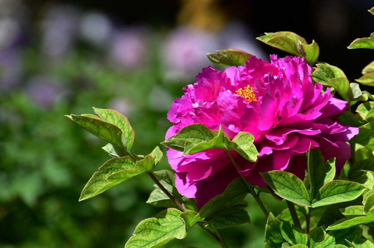 洛阳白马寺所见（下）