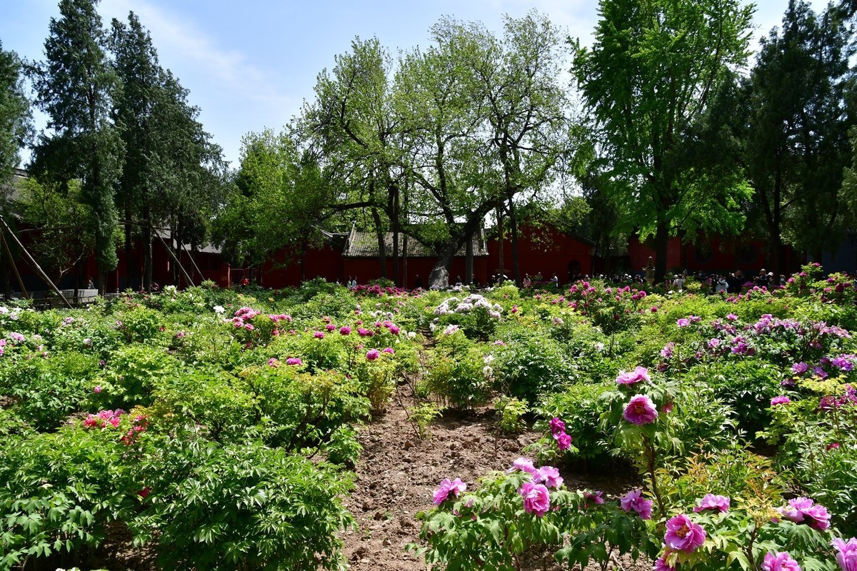 洛阳白马寺所见（下）