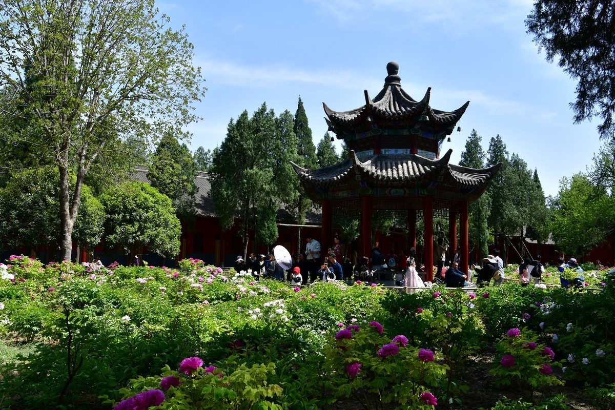 洛阳白马寺所见（下）