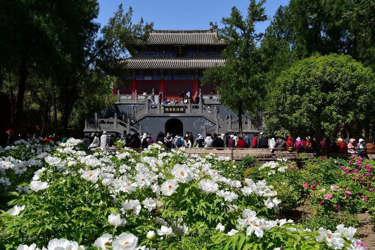 洛阳白马寺所见（下）