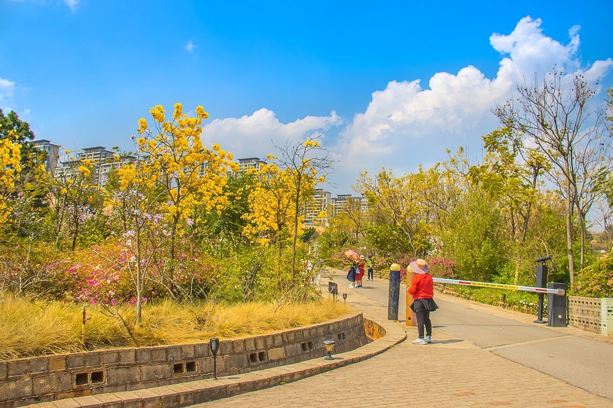 2025-05-19云南建水蚁工坊（六）