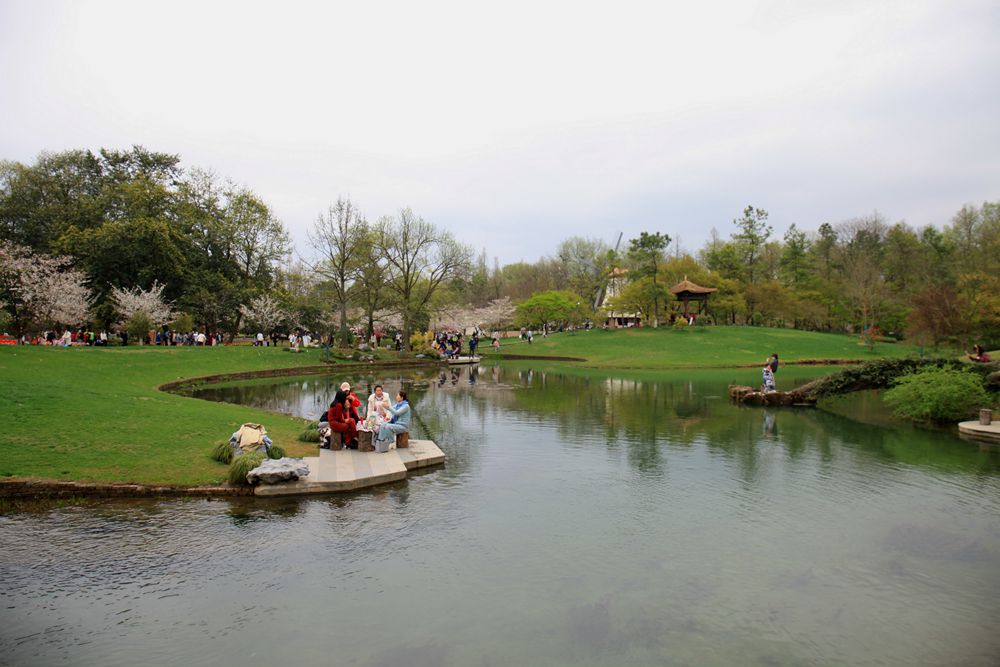 初春的太子湾公园