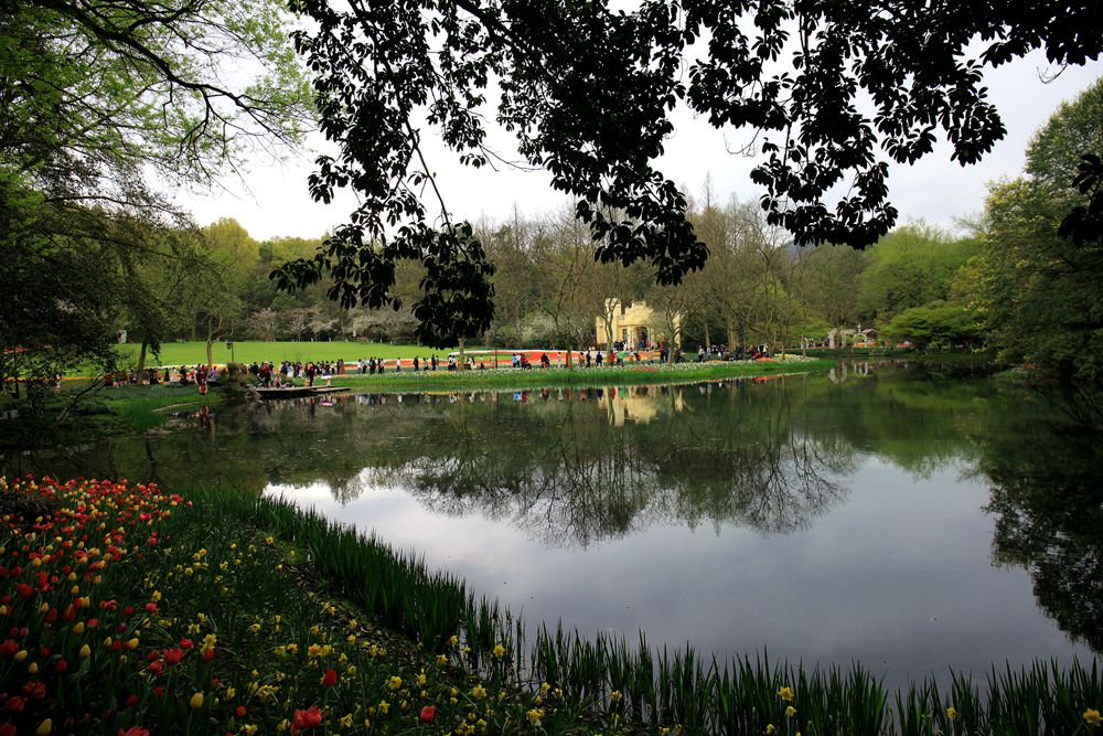 初春的太子湾公园