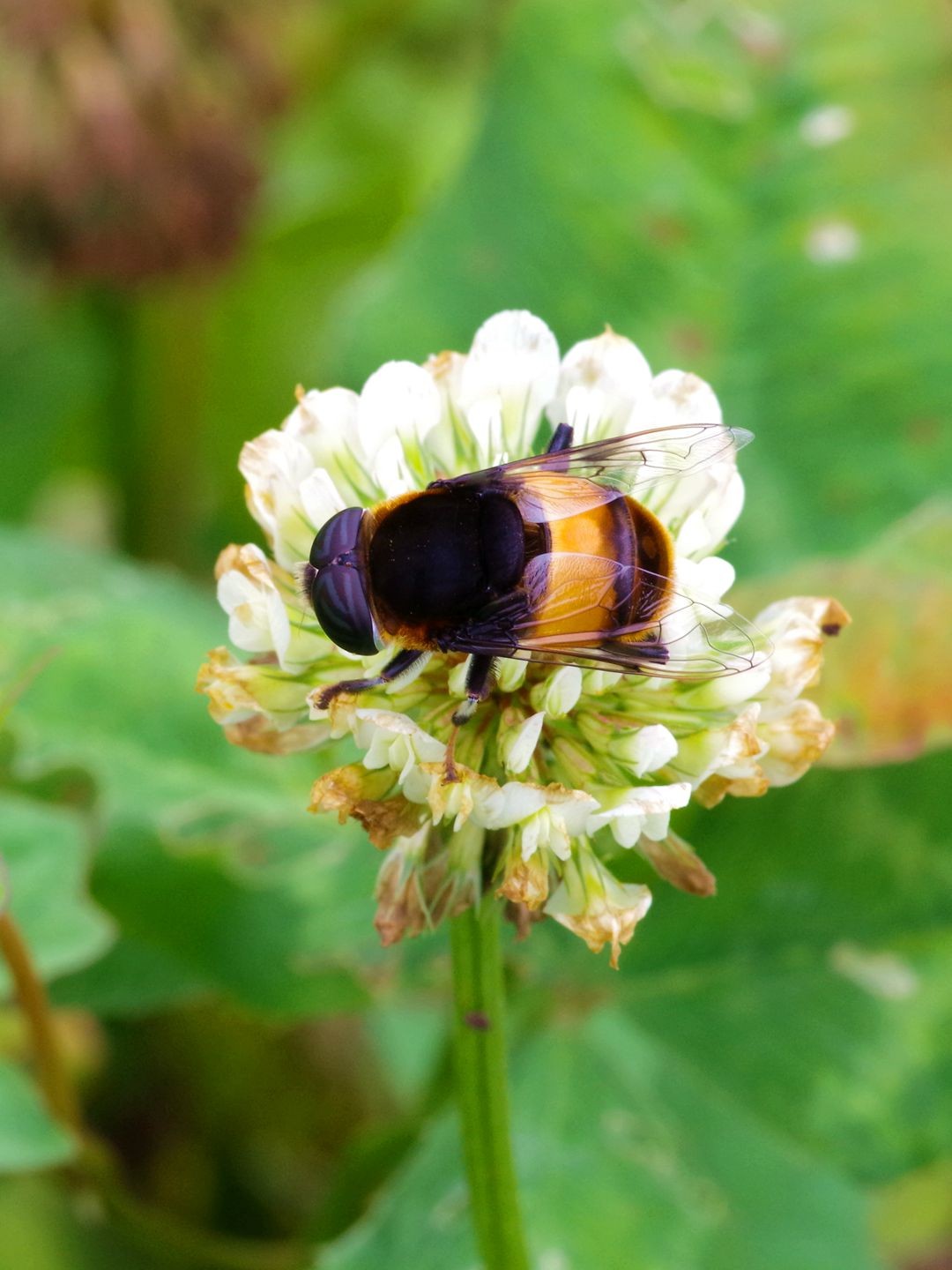 宾得K01+防水百微作品