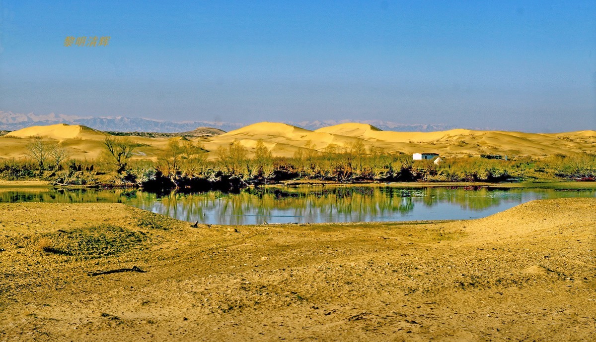 早春北疆之旅（51）：流经沙漠的额尔齐斯河