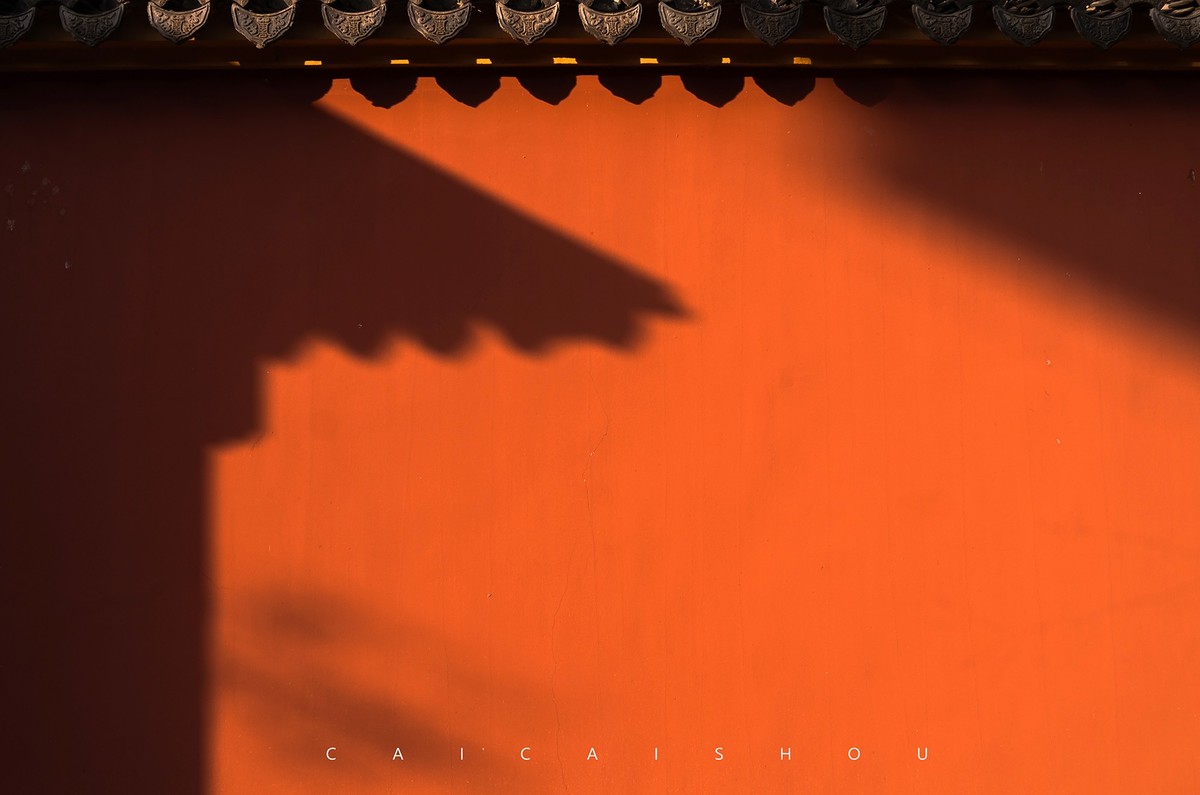 【菜々手摄影】徕卡卡片机记录秋天