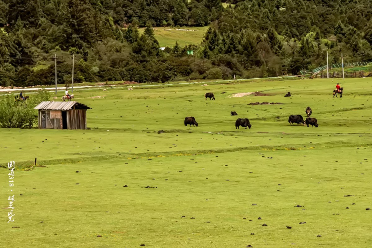 国道318 · 林芝风光