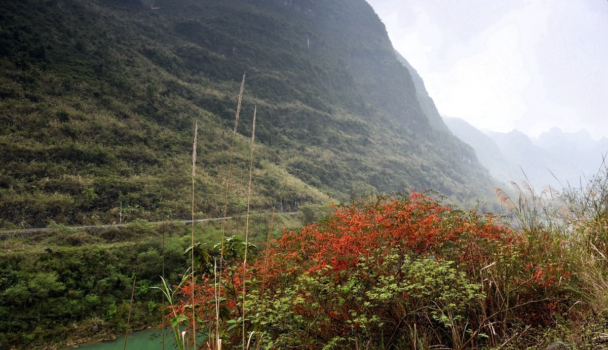 广西阳朔至巴马路途随拍