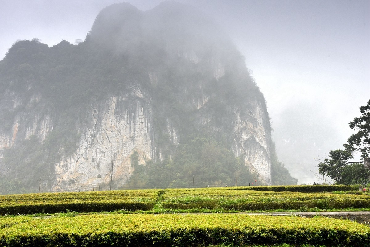 广西阳朔至巴马路途随拍