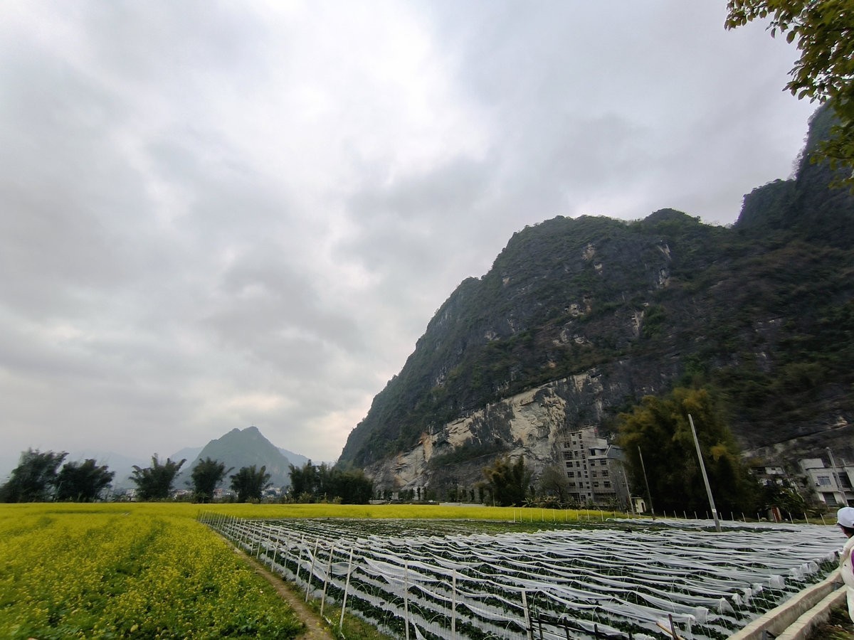 2024春节 滇桂沿边行（94）拔哥故里