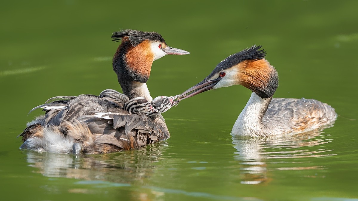 国庆将至，祝福老师们身体健康、天天开心、事事顺意！国庆快乐！