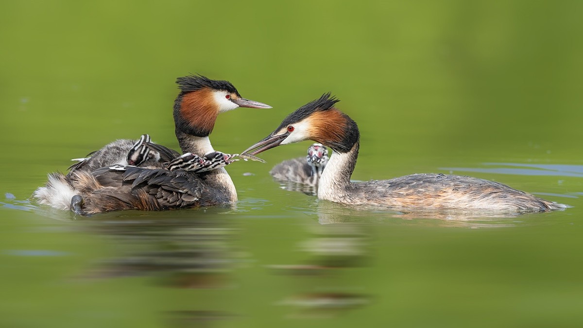 国庆将至，祝福老师们身体健康、天天开心、事事顺意！国庆快乐！