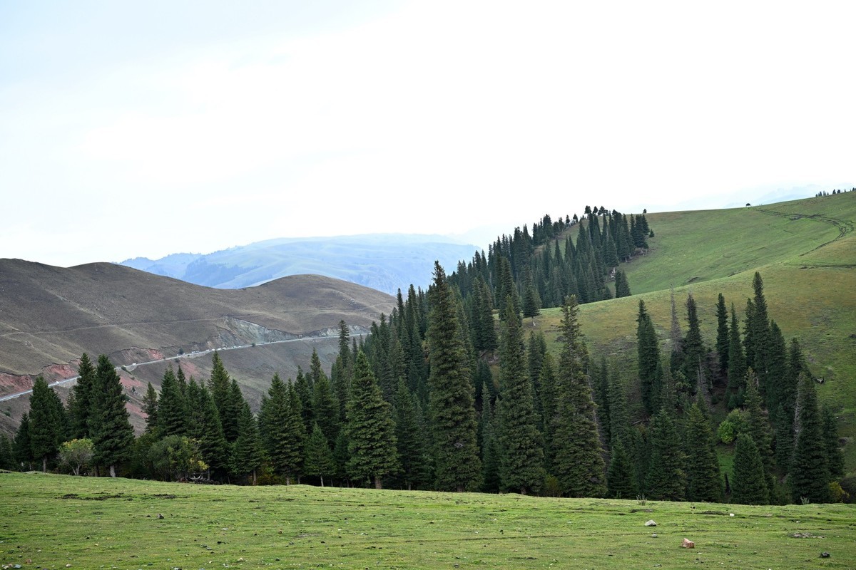 新疆游/巴音布鲁克(30)