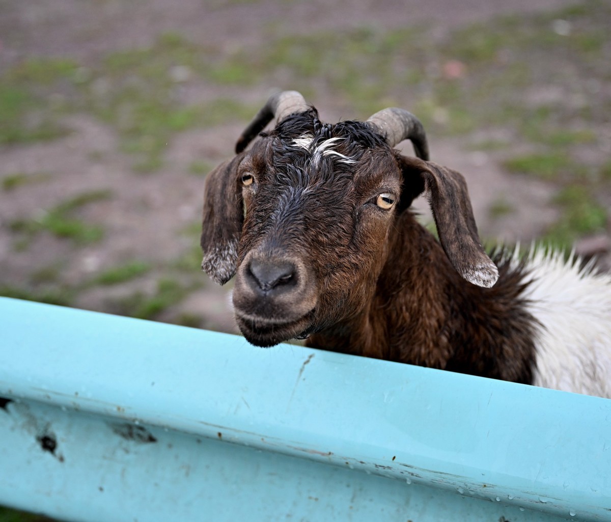 新疆游/巴音布鲁克(30)