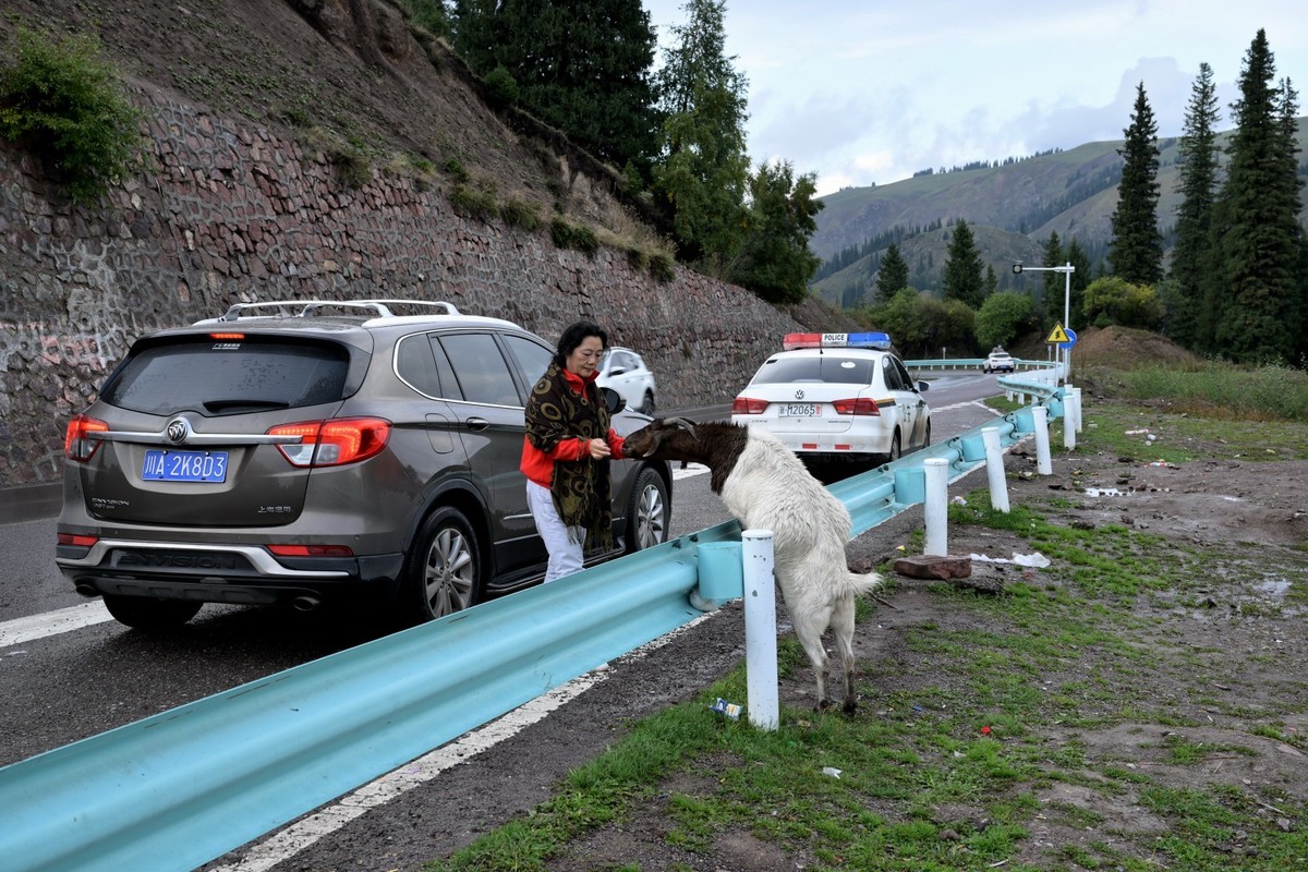 新疆游/巴音布鲁克(30)