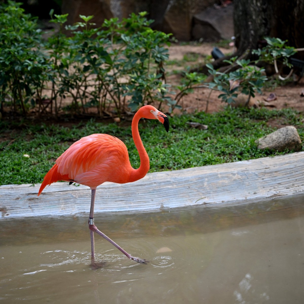 海南蜈支洲岛（A）