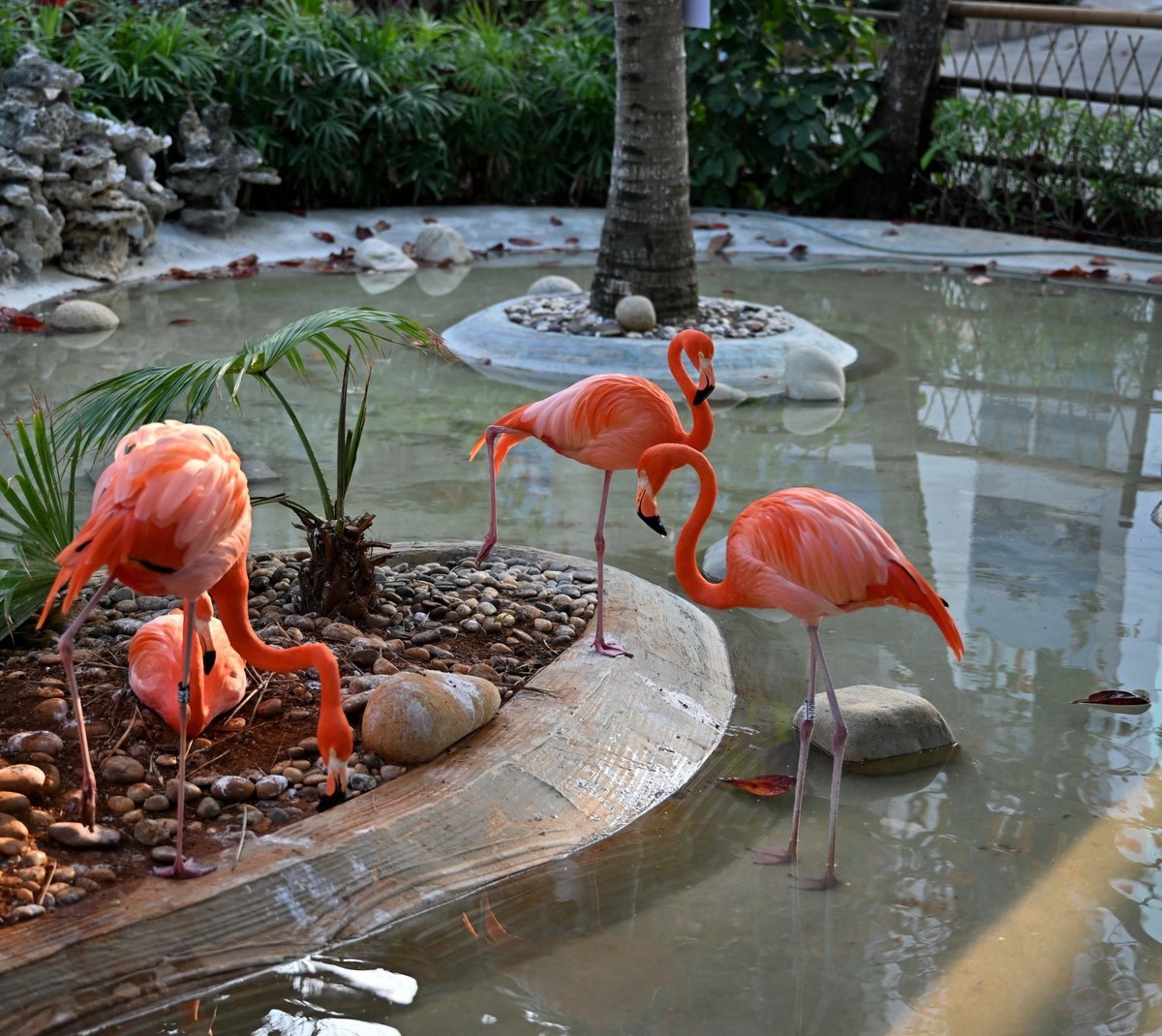 海南蜈支洲岛（A）