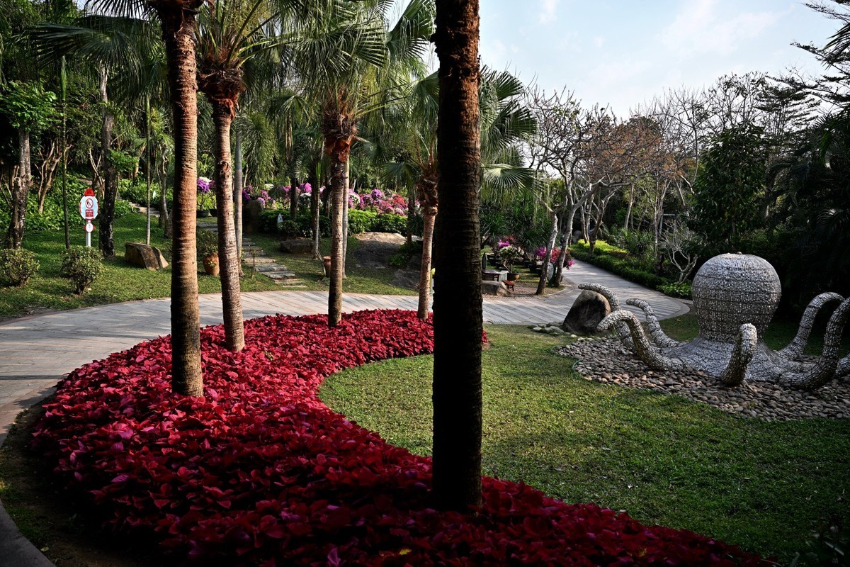 海南蜈支洲岛（A）