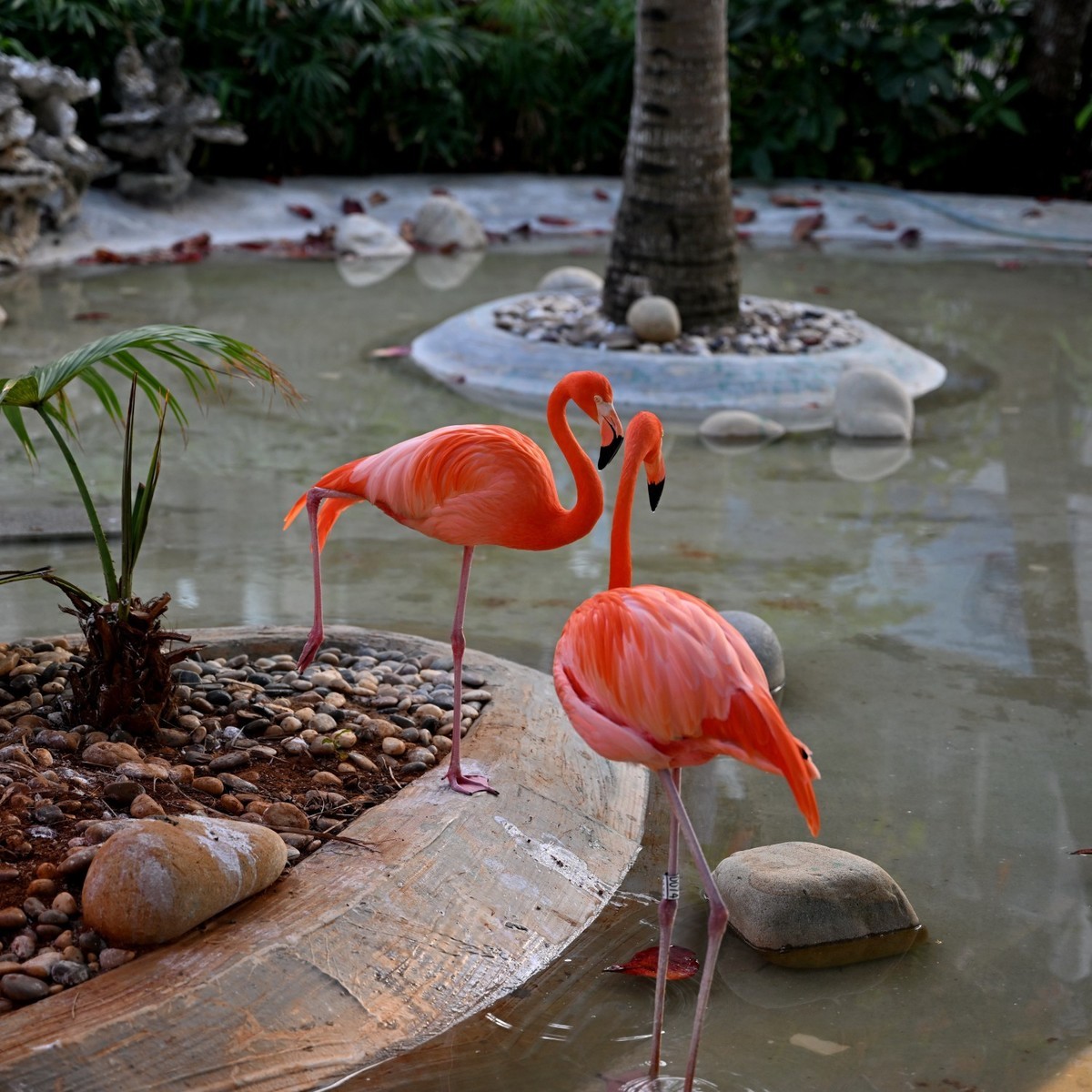 海南蜈支洲岛（A）