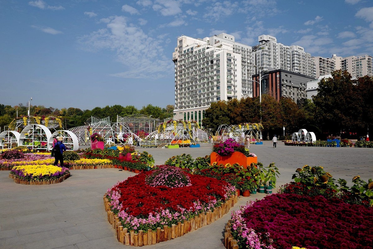 首义广场菊花展（下）