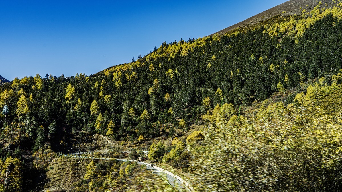 稻城亚丁--秋日行【2】