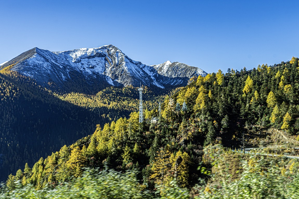 稻城亚丁--秋日行【2】