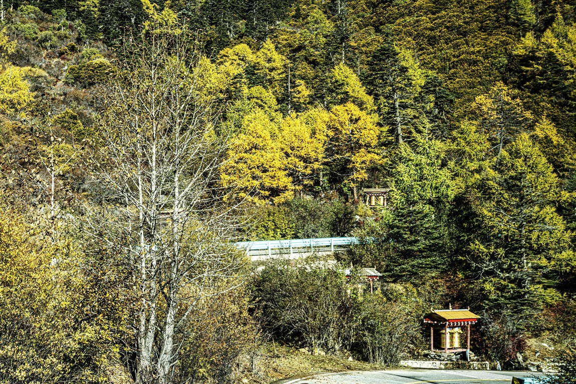 稻城亚丁--秋日行【2】