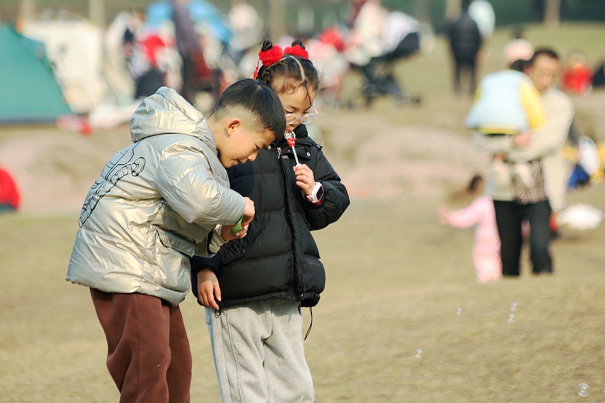 新年伊始扫草坪（五）