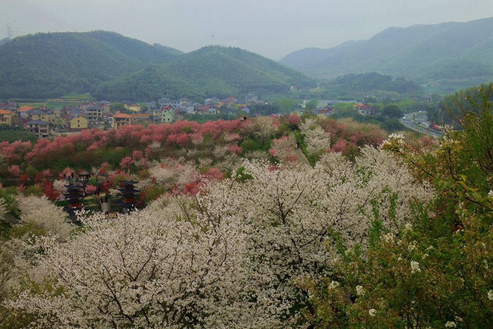 杭州樱花谷乐园