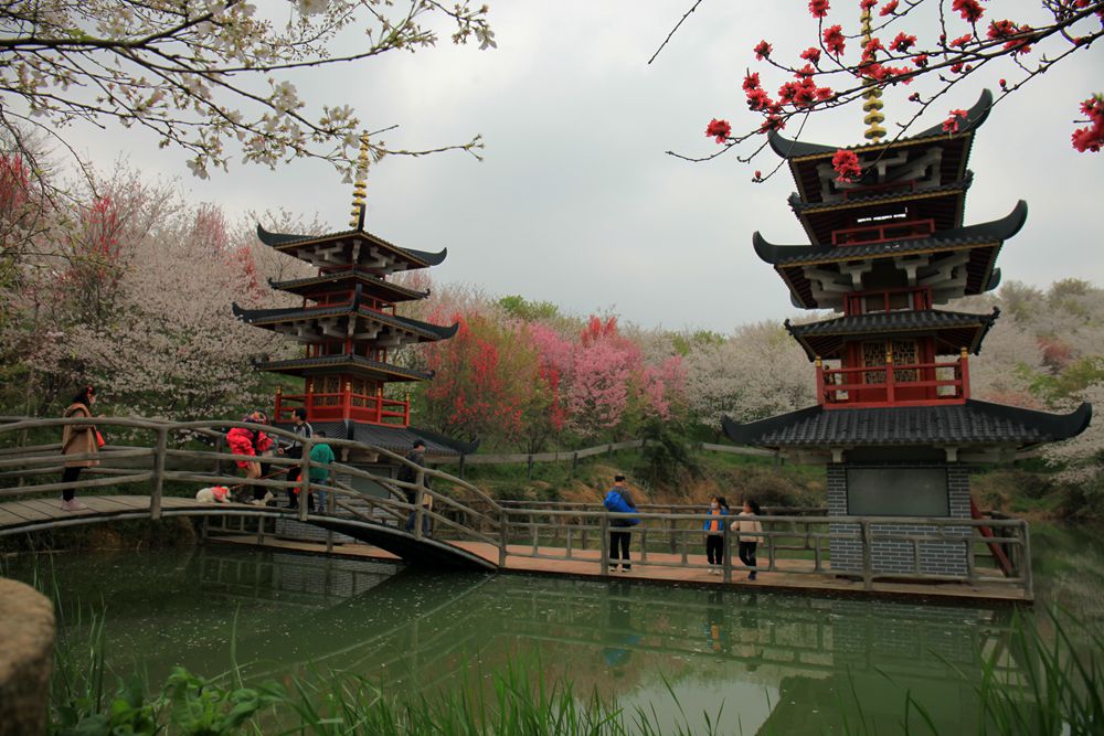 杭州樱花谷乐园