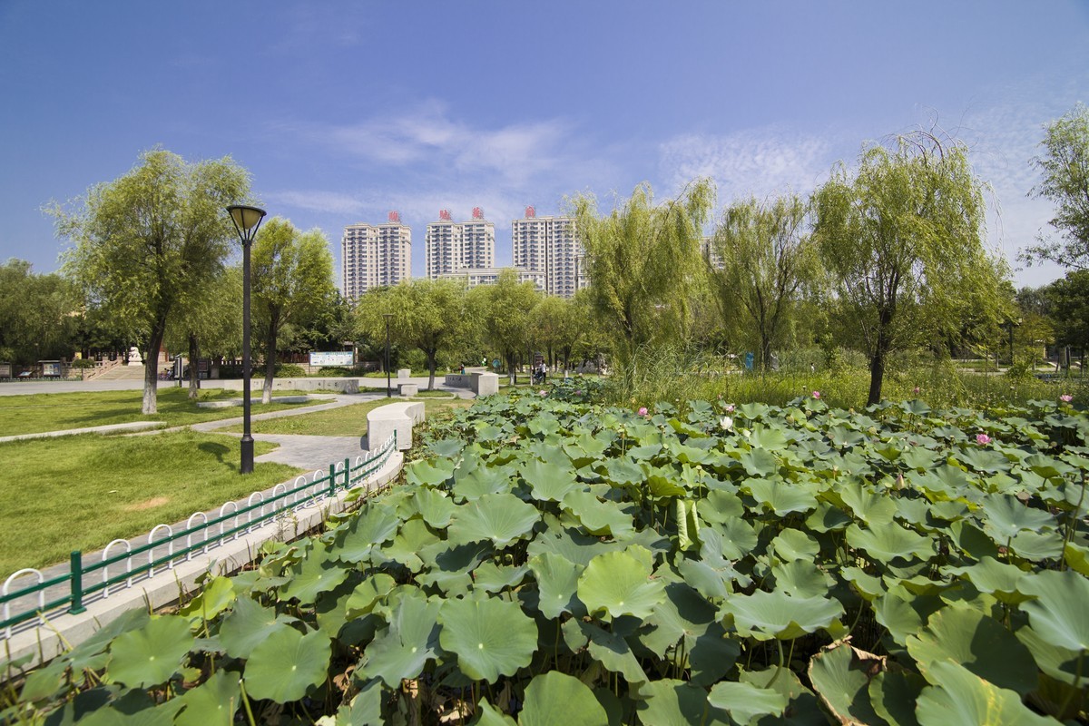 公园一角和邻家盆花