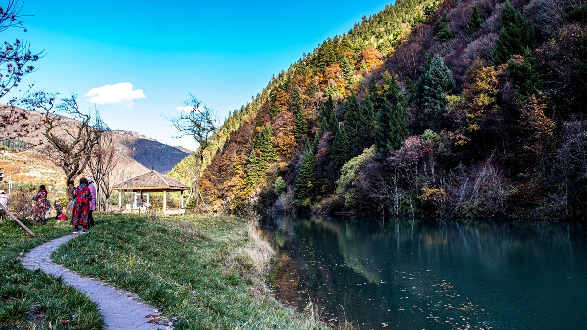 川西--黑水--奶子沟彩林【6】