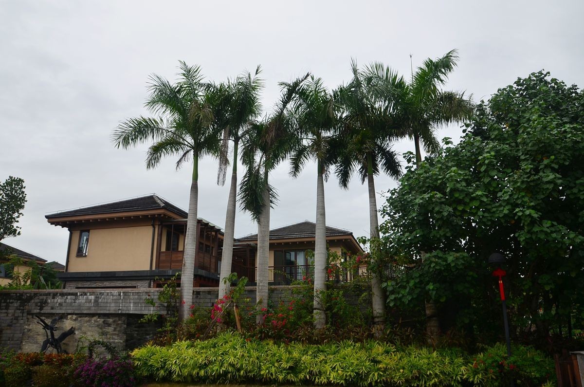 海南——七仙岭温泉（3）