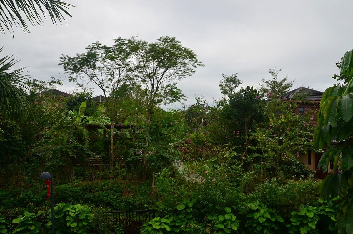 海南——七仙岭温泉（3）