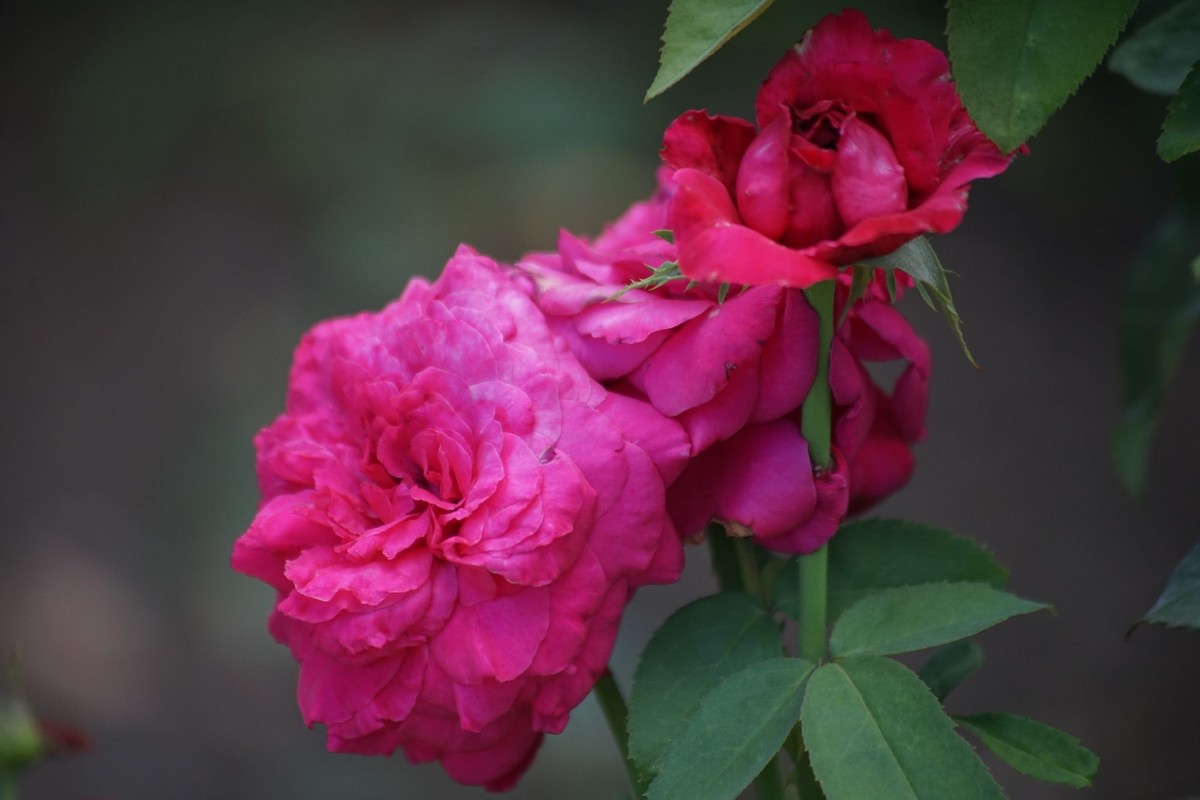 100  300老头拍摄