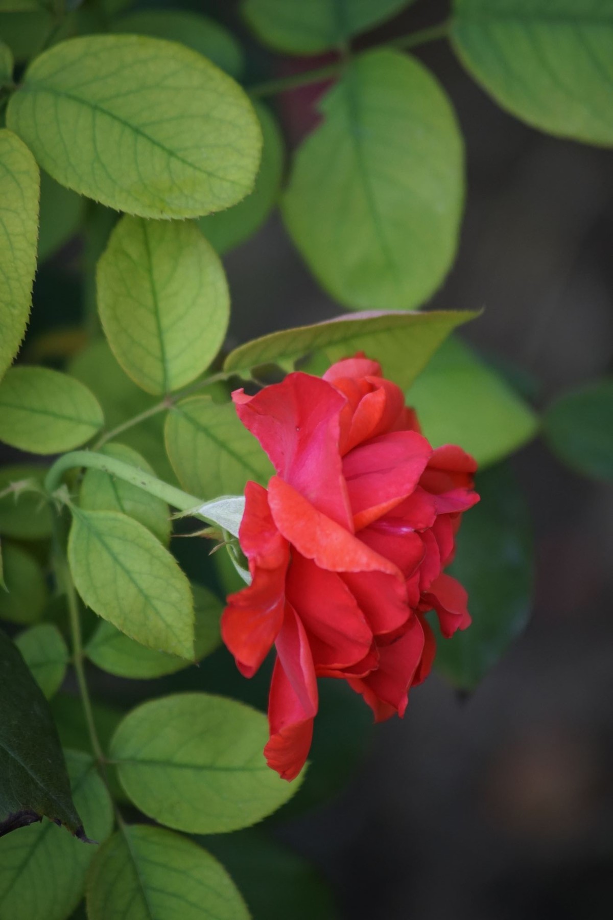 100  300老头拍摄