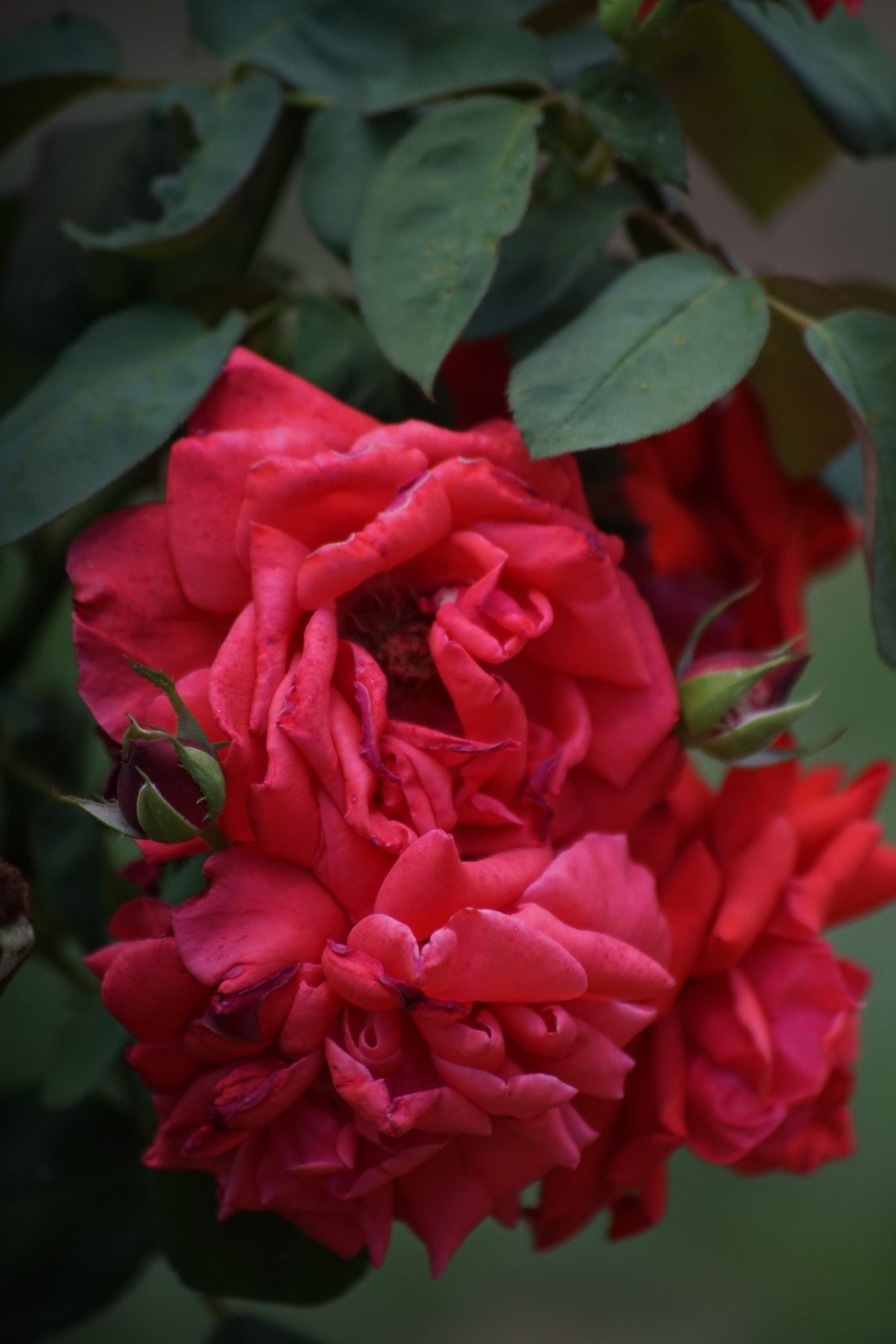 100  300老头拍摄