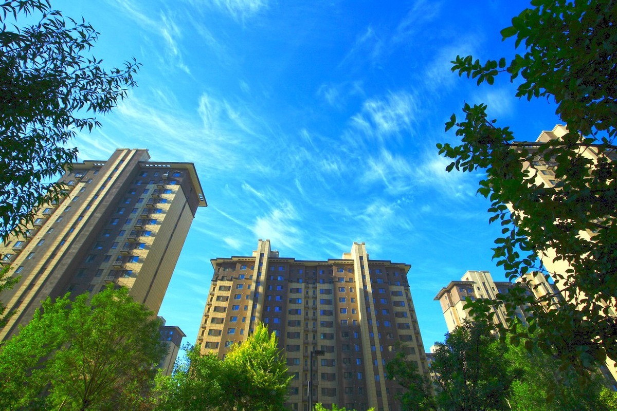 曾经的无敌兔不愧为无敌兔！